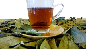 Короссоль. Лечебный чай из Западной Африки - Изображение #1, Объявление #1668902